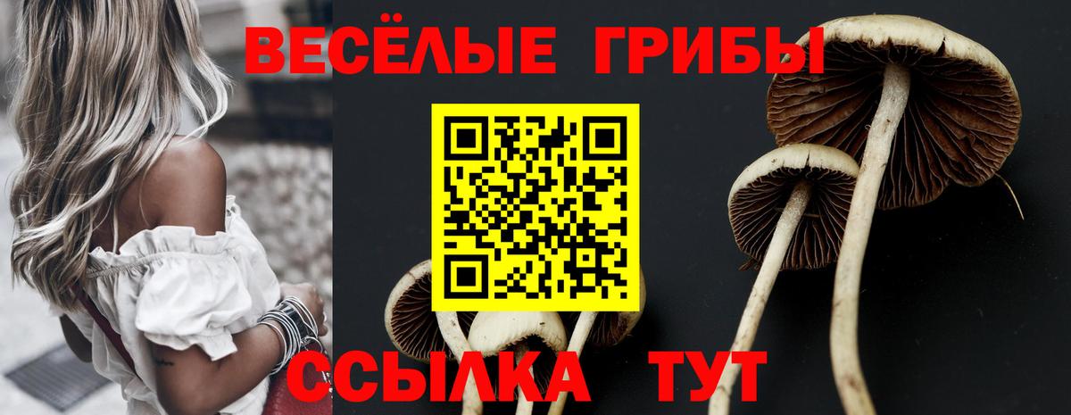 Псилоцибиновые грибы Psilocybine cubensis Новочеркасск